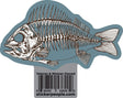 Skeleton Fish